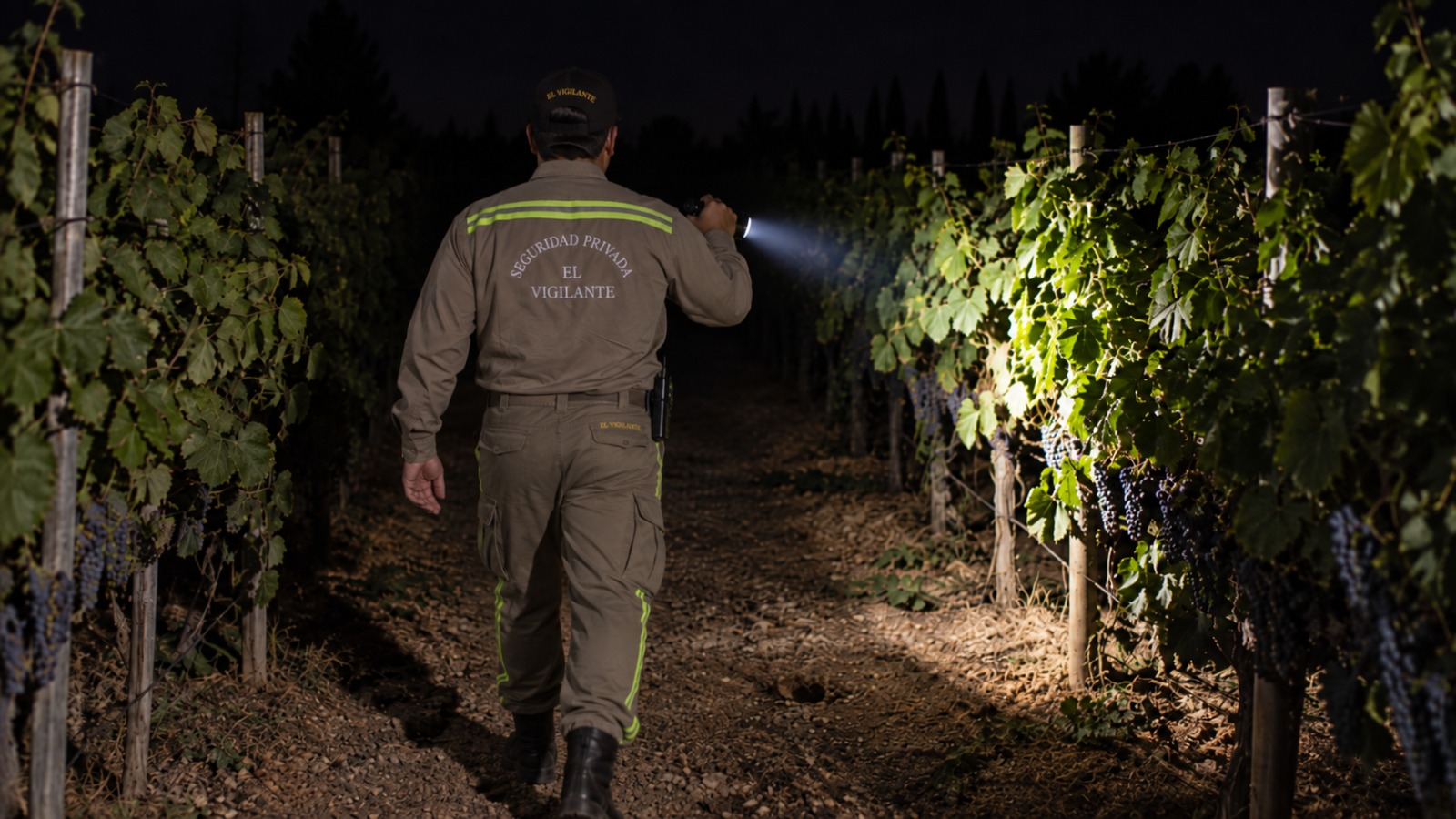 Vigilador de El Vigilante realizando una ronda nocturna en un viñedo